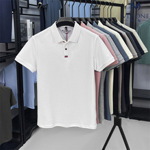 ����Polo�����ļ��¿��������¸߶��������ж���t����װ����