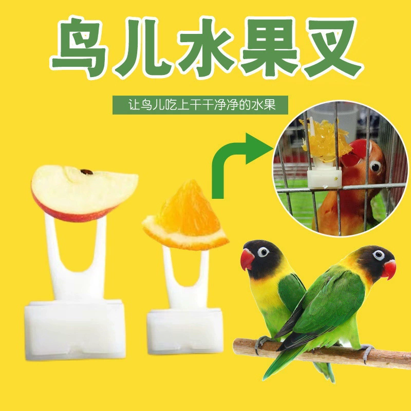 [Вилка для птиц и фруктов] Кормушка для попугаев и шrike Black Phoenix Peony Вилка для кормления игрушка для птиц Аксессуары для клеток для птиц # #