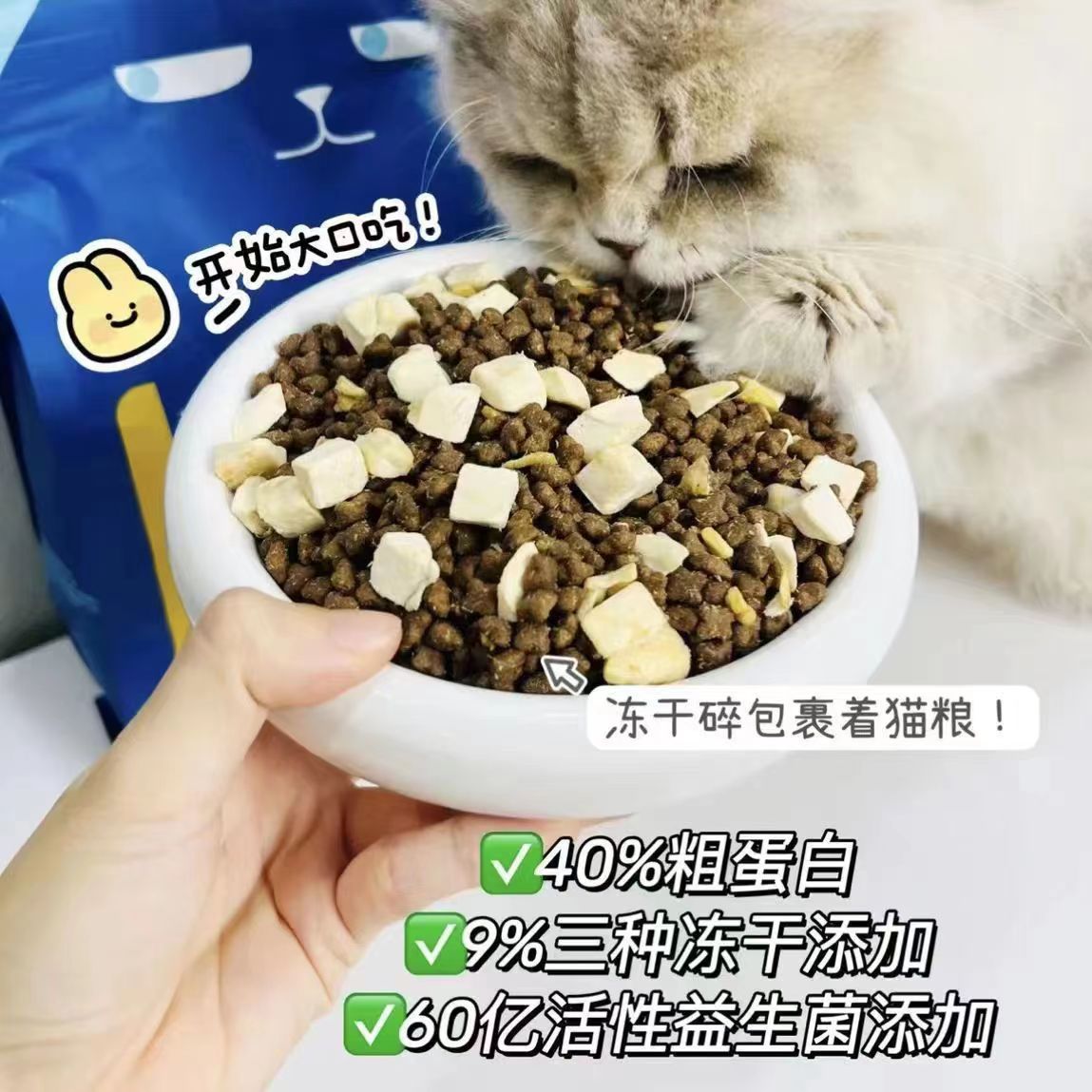 猫砂市场分析与趋势解读