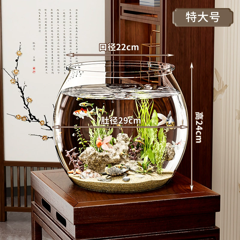 Transparent small square acrylic aquarium for office