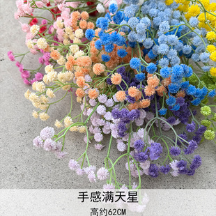 �ָ�ܛ�z����M���� ���滨��Y�b��������ϝM��������ٻ����l