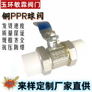 ��h�y�T �� PPR�p������y �S�~���� PPR���yDN20 DN25 DN32