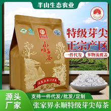 张家界永顺特级芽尖野生莓茶张美丽莓茶龙须莓茶恩施藤茶一件代发