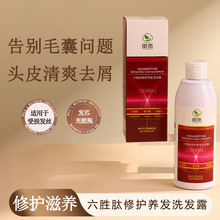 ����������Ғ���������o�B�lϴ�l¶�~���u������ϴ�l¶���l���l