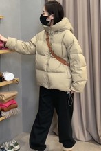 ̿qŮ2023СӰqreBñ׳