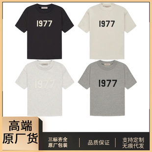 �߶�ԭ�SEssentials������ʿT������Fog�߽�2022���Ŀ�1977�A�I