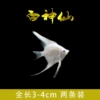 3cm white fairy 2 pack