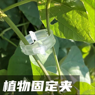 藤曼固定器豆角西红柿黄瓜绿植绑枝蔬菜藤蔓捆绑固定苗木固定卡扣