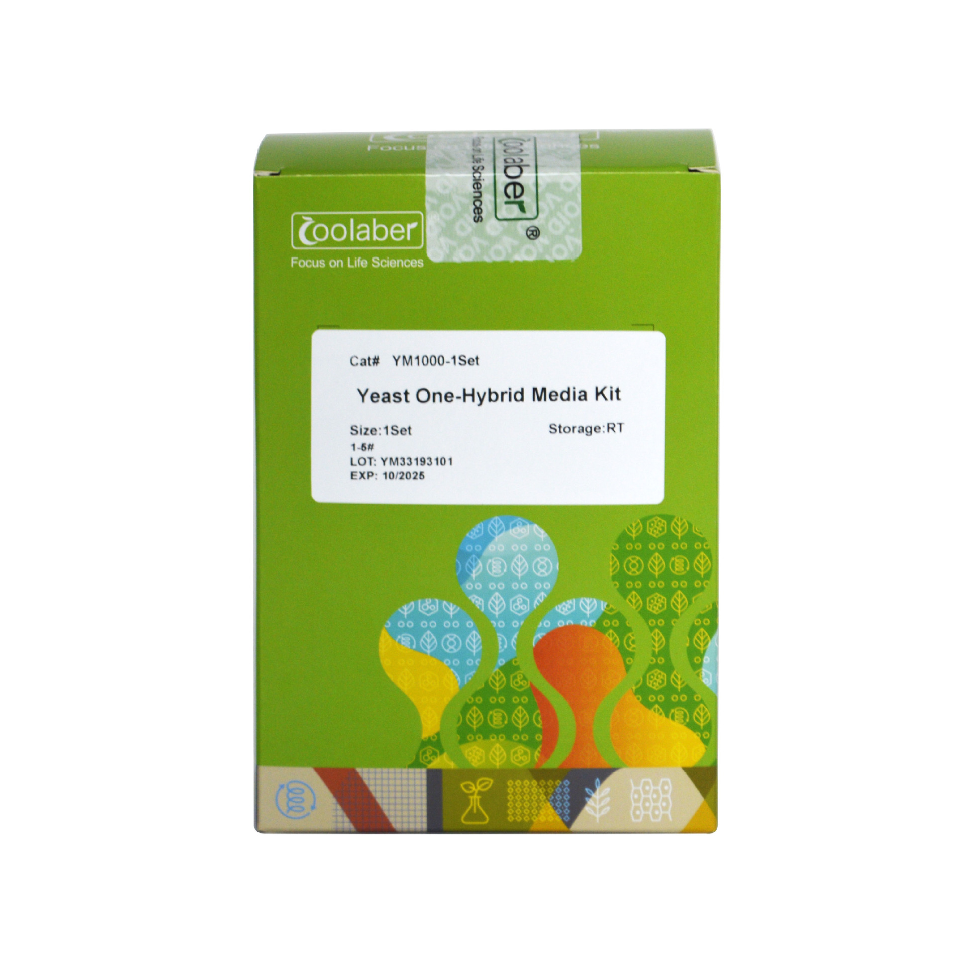 科研用 Y1HGold-pAbAi系统酵母单杂培养基套装