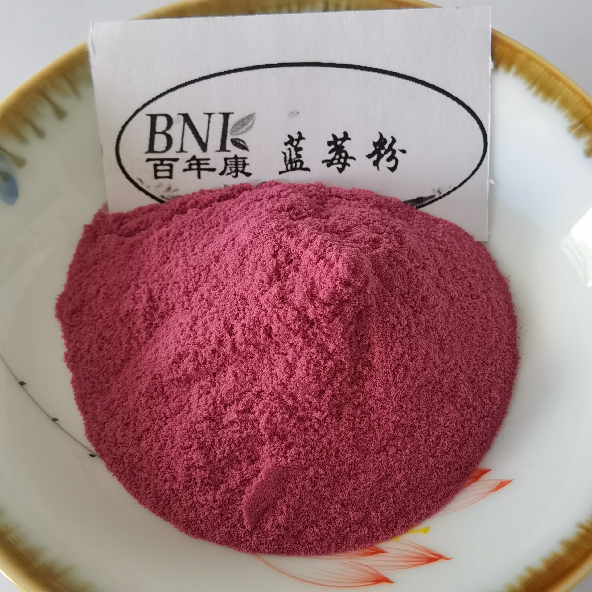 藍莓粉99% 水溶性藍莓果汁粉 烘焙原料 藍莓噴霧乾燥粉