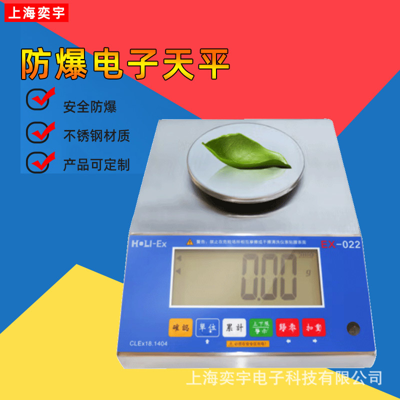 防爆电子秤