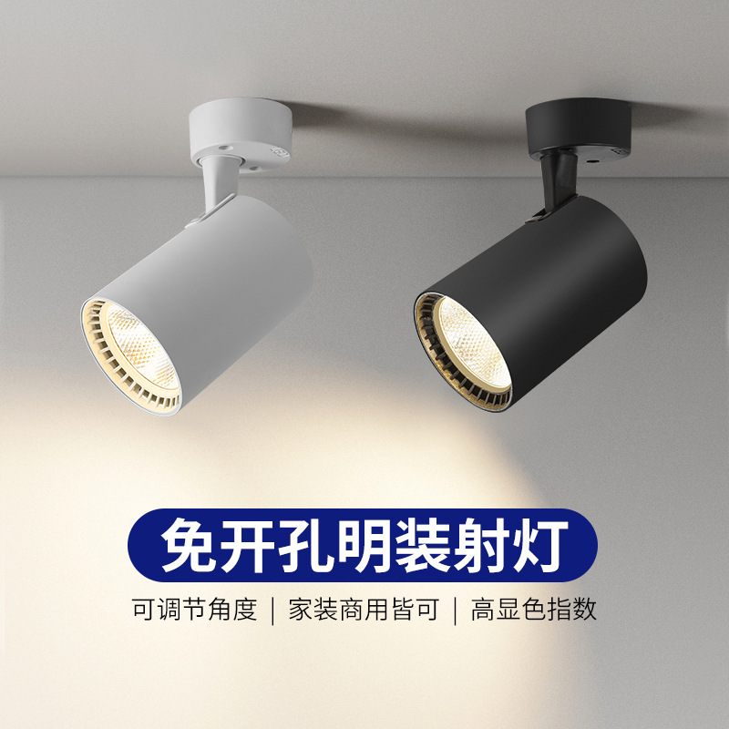 Surface-Mounted Spotlight with Adjustable Angle Exhibition Hall Household Small Ceiling-Mounted Track Light Spotlight Led Ceiling Light Downlight