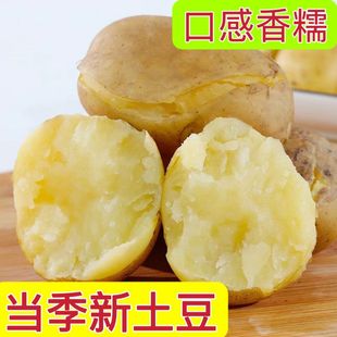 ���������ɹź������������r�F������ɳ���SƤ�S�������r���R���