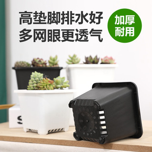 Factory meat black square basin thickened green flowers Korean square basin model complete white black plastic sedum Basin