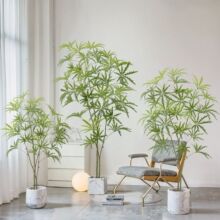 ����Gֲ��ȸľ�҃ȿ͏dɳ�l߅���W�L��ؔ[����ֲ��Ҿ��b��ɭϵ