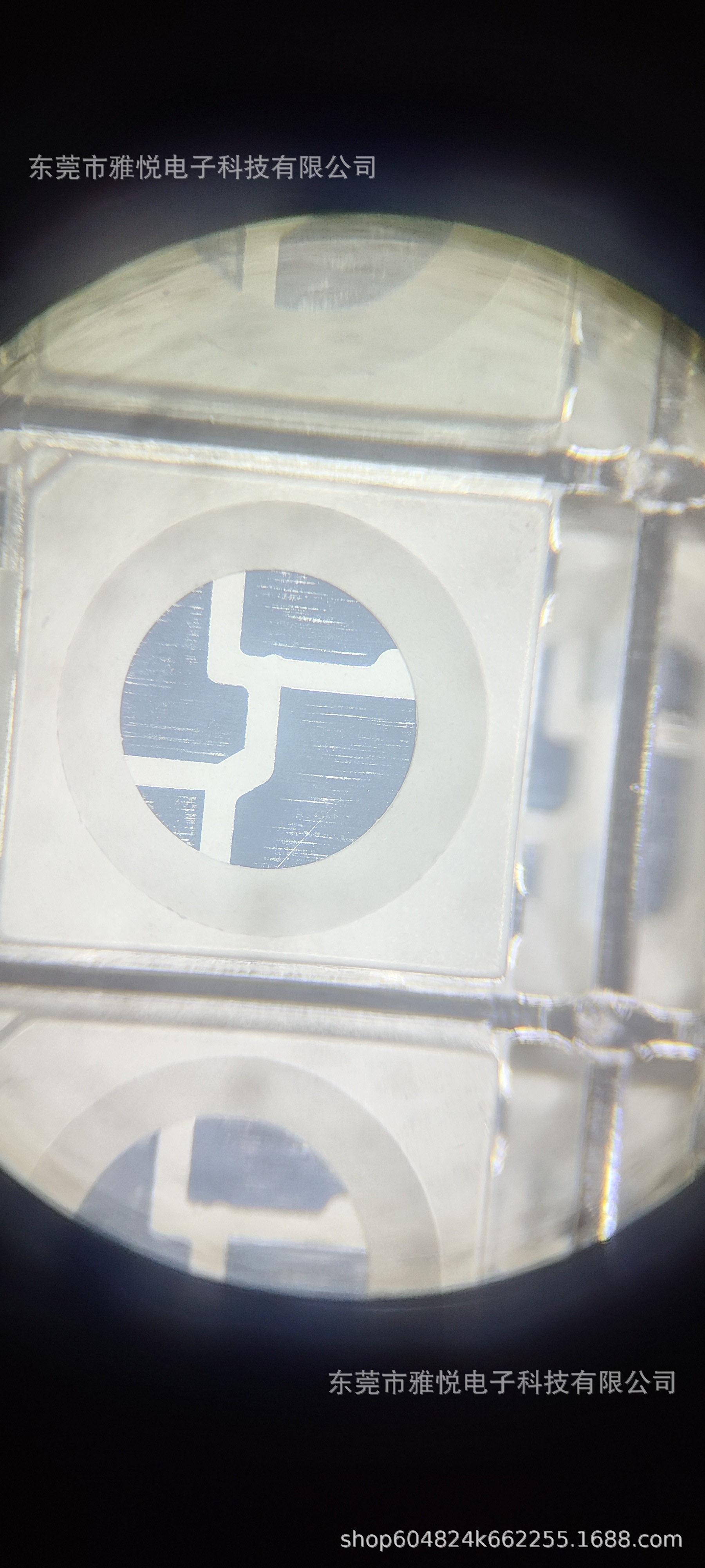 微信图片_20241104110052 - 副本