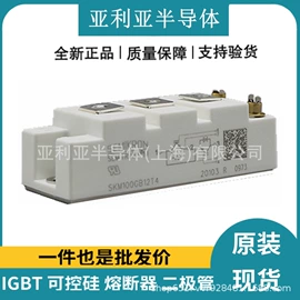 IGBT模块;集成电路;普通晶闸管