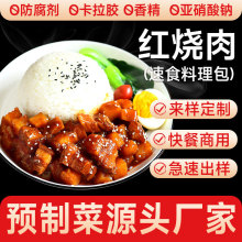 预制菜红烧肉料理包代工速食餐饮外卖快餐冷冻半成品商用定制批发
