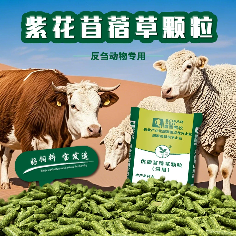 Оптовая продажа пеллет из люцерны от производителя для крупного рогатого скота, овец, лошадей, верблюдов, корм для грызунок, фасованный в мешки.