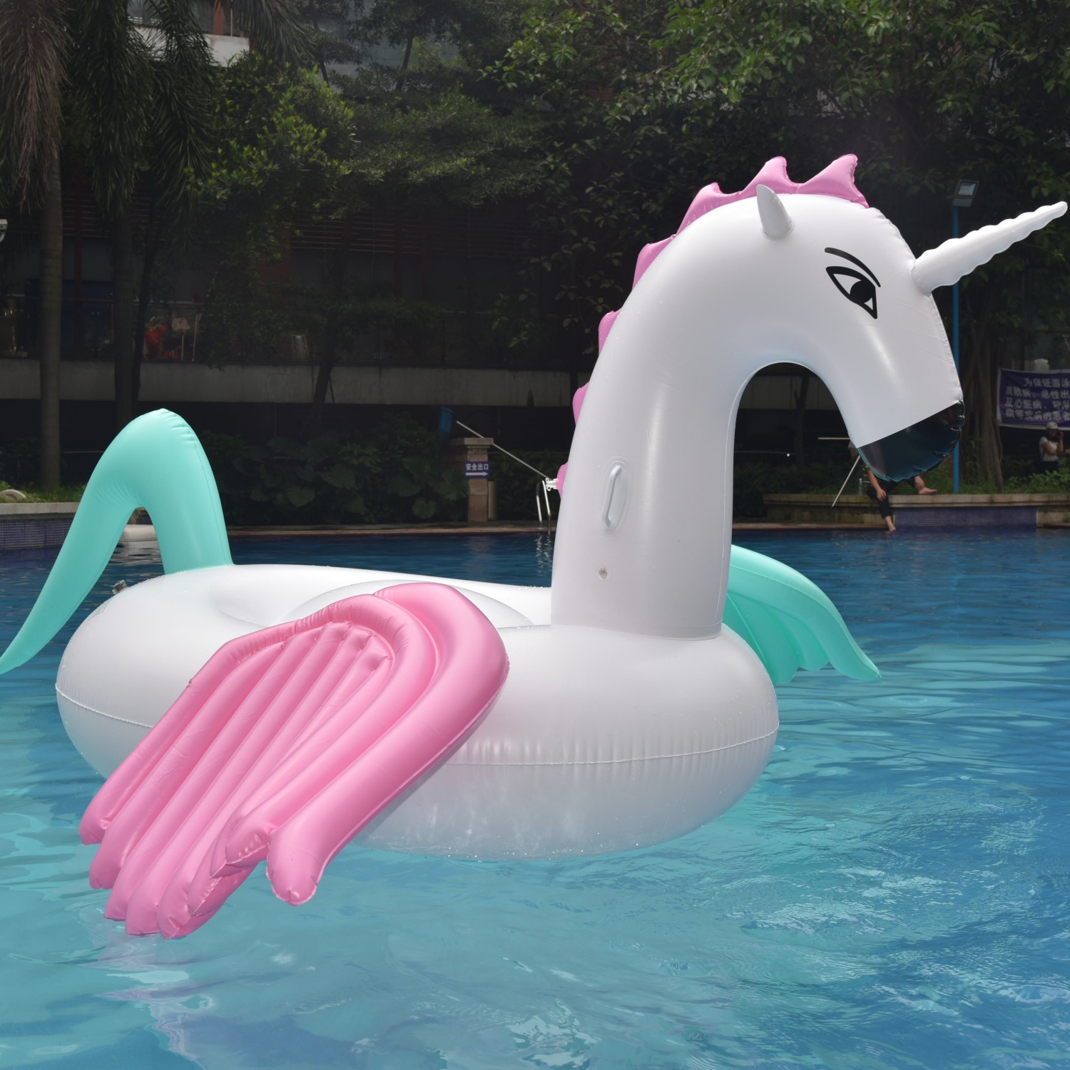 DSC_0447_副本_副本