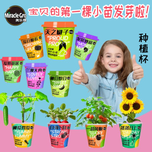 ���l�����ó��汭���ҷ������տ�ˮ���S�ϷNֲ��ֲ�����ԃ�ͯ�Y��