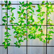 �羳�¿������J�ٗlLED�b��Ɍ��҃����bʟ�USB늳غП���