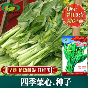 �ļ����ķN�� �r��˵طNֲ�����߲��͝��w�S���ļ��N������