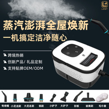 高压蒸汽清洁机洗车机商用家用空调厨房油烟机清洗机专业消毒工具