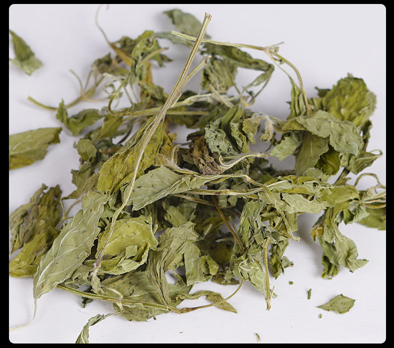 Dried Mint Leaves (Mentha haplocalyx) — Canned Mint Herbal Tea, 70g preparation