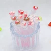 12 Camera, translucent