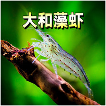 ������r/������r������r̨���M�ڹ����r�^�p�r�����坍��ˮ�r