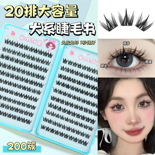 20�Ŵ��������z��ë���ٽ�ë�����Ȯϵ��β��ȫϵ�л�Ͻ�ë���l