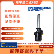 �� ���� BRINKMANN  SGL1102/540-Z+800  ��  �|�� ��һ�Pʮ