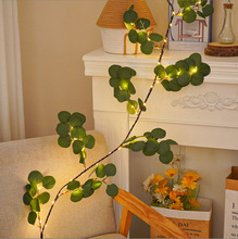 �羳���N LED�ѻ��G�~�~�z�����滨�h�������ұ�������bʟ�