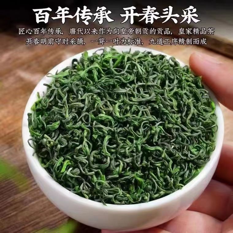 【0.5kg】本格毛尖緑茶 2024年新茶 本格高山緑茶 原春茶 香りが強く、泡立ちにくい袋入り|undefined