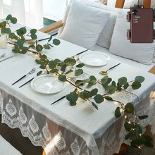 �ȼ����~�ٗl���羳���Nled�b��}�Q��仨�h���ȼ����~�~����