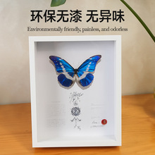 ���s����˱�����ֹ����w�п����젝�[̨diy��ֲ��˱������