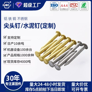 尖头钉水泥墙钉加长钢钉铝铁铜不锈钢材质风动板专用厂家快速定制