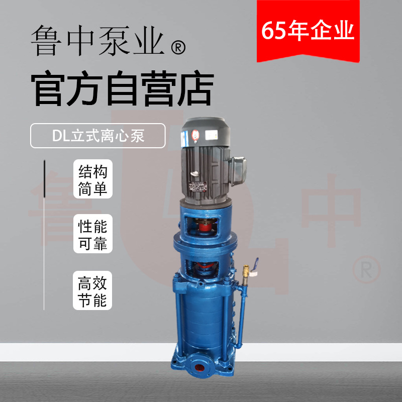 100DL×9型立式多级泵离心水泵立式高压多级泵清水泵鲁中牌