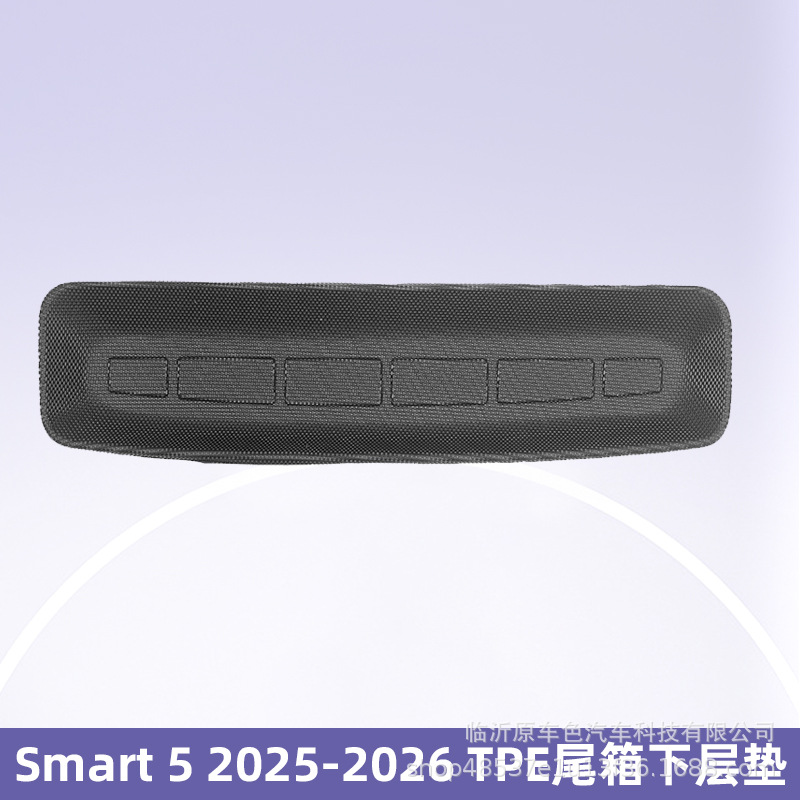 Aplicable a Smart 5 2025 - 2026 3D todo el tiempo material TPE almohadilla de pie de automóvil anti-suciedad almohadilla de colateral image 9