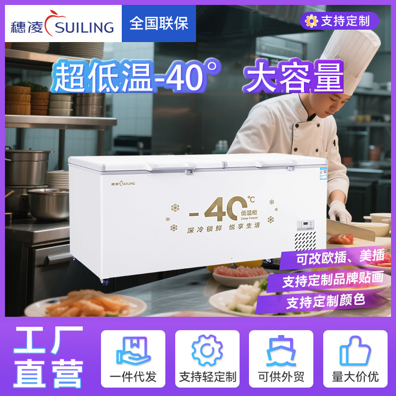 Sui Ling Spot Freezer Commercial Freezer Large Capacity Single Temperature Commercial Refrigeration Fresh-Keeping Horizontal Refrigerator Source Factory