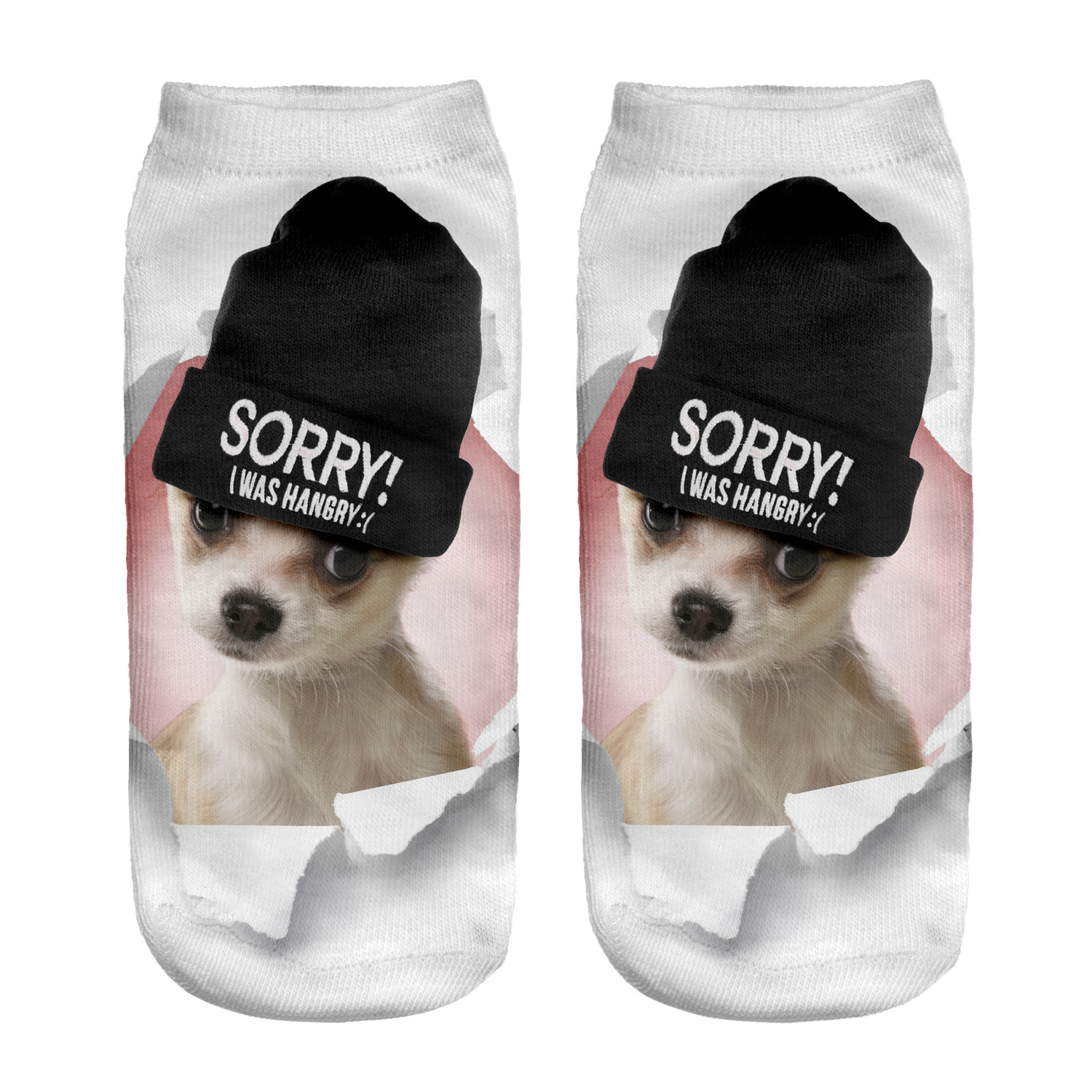 41206 sorry beanie chihuahua 1