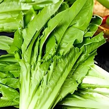 �r��������ţ�����Pβ����S������~�˻���߲˼�ͥ�߲�����ɿ�