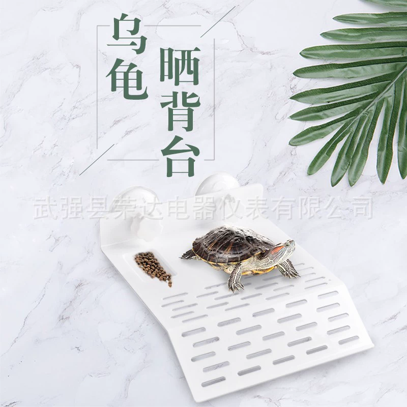 Стол для скалолазания черепахи Стол для восхождения на солнце Акриловый плавающий стол Тип всасывания аквариума Прозрачный бразильский стол для скалолазания черепахи Банки с черепахой Пейзаж