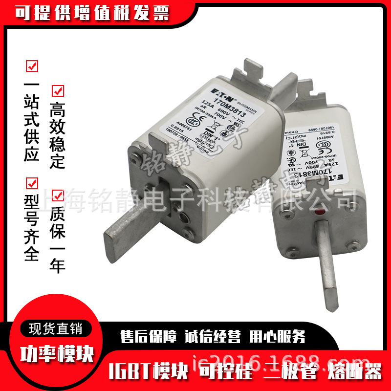 170M3951 170M3952 170M3953 170M3954 170M3955熔断器170M3956