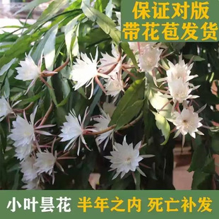 �һ������҃Ȏ�ͥԺ�̨�Gֲ�b[���G�j����ȩ�G�}�������ȩ