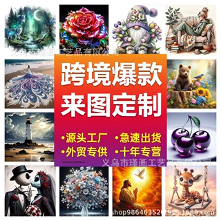 跨境temu亚马逊diy定制满钻手工钻石画产品工厂一件批发代发
