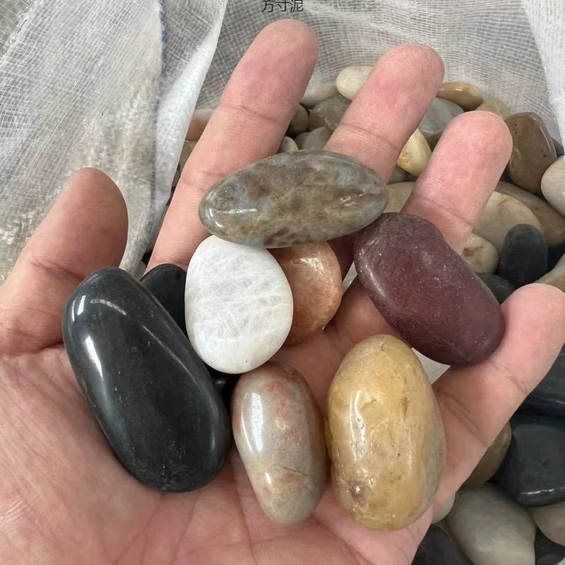 Yuhuashi pebbles small shop decoration smooth painted edible goose copper coins foreign trade wholesale supply chain factory