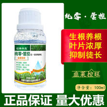 韭菜控旺促壮剂 韭菜专用控旺养根壮根壮苗增产预防干尖肥料100ml