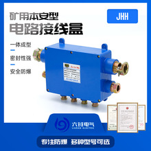 矿用本安接线盒JHH-8通讯监控本安接线盒8通20对电路分支用链接盒